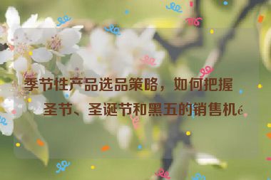 季節(jié)性產(chǎn)品選品策略，如何把握萬(wàn)圣節(jié)、圣誕節(jié)和黑五的銷(xiāo)售機(jī)遇