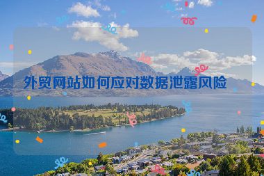 外貿(mào)網(wǎng)站如何應(yīng)對數(shù)據(jù)泄露風(fēng)險？