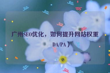 廣州SEO優(yōu)化，如何提升網(wǎng)站權重（DA/PA）