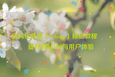 結(jié)構(gòu)化數(shù)據(jù)（Schema）標(biāo)記教程，提升網(wǎng)站SEO與用戶體驗(yàn)
