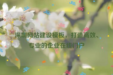 深圳網(wǎng)站建設(shè)模板，打造高效、專業(yè)的企業(yè)在線門戶