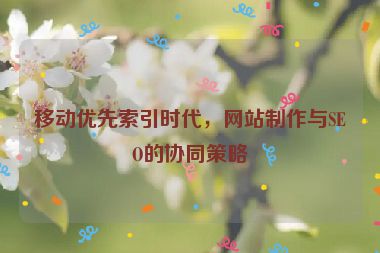 移動優(yōu)先索引時代，網(wǎng)站制作與SEO的協(xié)同策略
