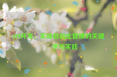 API開發(fā)，實(shí)現(xiàn)自動(dòng)化管理的關(guān)鍵技術(shù)與實(shí)踐