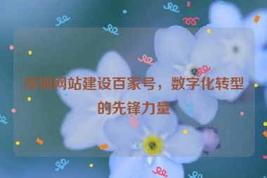深圳網(wǎng)站建設(shè)百家號(hào)，數(shù)字化轉(zhuǎn)型的先鋒力量