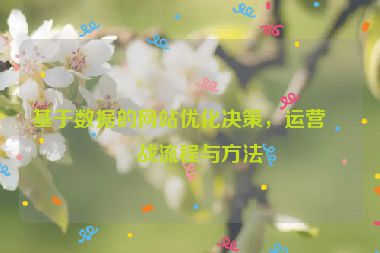 基于數(shù)據(jù)的網(wǎng)站優(yōu)化決策，運(yùn)營實(shí)戰(zhàn)流程與方法