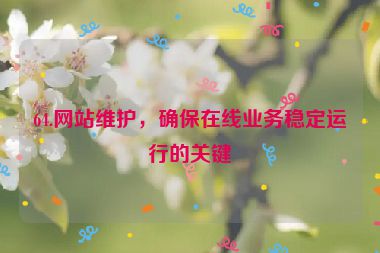 64.網(wǎng)站維護(hù)，確保在線業(yè)務(wù)穩(wěn)定運(yùn)行的關(guān)鍵