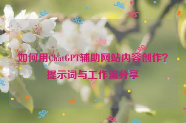 如何用ChatGPT輔助網(wǎng)站內(nèi)容創(chuàng)作？提示詞與工作流分享