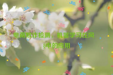電商欺詐檢測(cè)，機(jī)器學(xué)習(xí)在風(fēng)控中的應(yīng)用