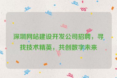 深圳網(wǎng)站建設(shè)開發(fā)公司招聘，尋找技術(shù)精英，共創(chuàng)數(shù)字未來