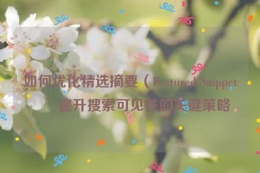 如何優(yōu)化精選摘要（Featured Snippet）提升搜索可見(jiàn)性的關(guān)鍵策略