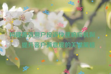 構(gòu)建高效用戶投訴快速響應(yīng)機(jī)制，提升客戶滿意度的關(guān)鍵策略