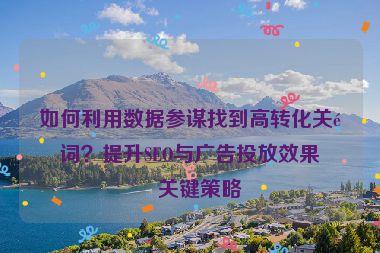 如何利用數(shù)據(jù)參謀找到高轉(zhuǎn)化關(guān)鍵詞？提升SEO與廣告投放效果的關(guān)鍵策略