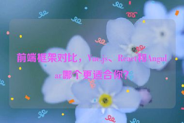 前端框架對比，Vue.js、React和Angular哪個(gè)更適合你？