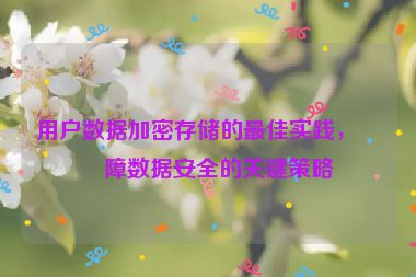 用戶數(shù)據(jù)加密存儲的最佳實踐，保障數(shù)據(jù)安全的關鍵策略