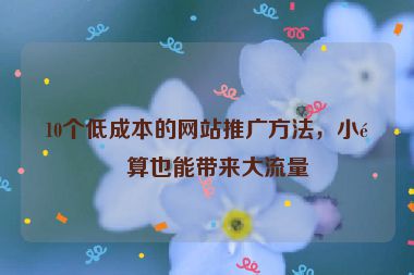 10個(gè)低成本的網(wǎng)站推廣方法，小預(yù)算也能帶來(lái)大流量