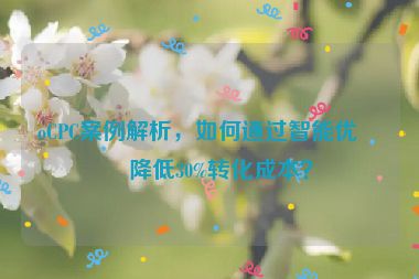 oCPC案例解析，如何通過智能優(yōu)化降低30%轉化成本？