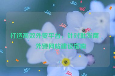 打造高效外貿(mào)平臺，針對批發(fā)商的外貿(mào)網(wǎng)站建設(shè)指南