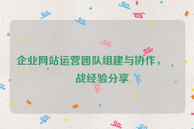 企業(yè)網(wǎng)站運(yùn)營團(tuán)隊(duì)組建與協(xié)作，實(shí)戰(zhàn)經(jīng)驗(yàn)分享
