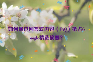 如何通過問答式內(nèi)容（FAQ）搶占Google精選摘要？