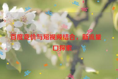 百度競價與短視頻結(jié)合，新流量入口探索