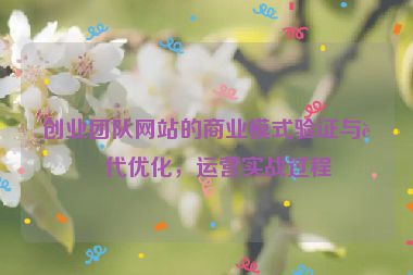 創(chuàng)業(yè)團(tuán)隊(duì)網(wǎng)站的商業(yè)模式驗(yàn)證與迭代優(yōu)化，運(yùn)營實(shí)戰(zhàn)過程