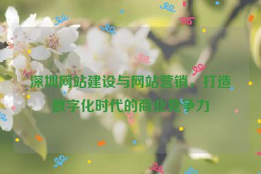 深圳網(wǎng)站建設(shè)與網(wǎng)站營銷，打造數(shù)字化時代的商業(yè)競爭力