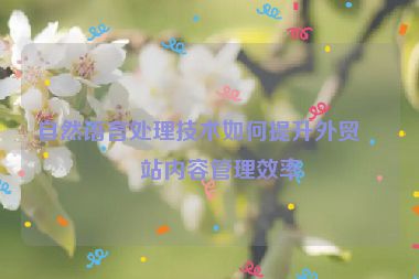自然語(yǔ)言處理技術(shù)如何提升外貿(mào)網(wǎng)站內(nèi)容管理效率