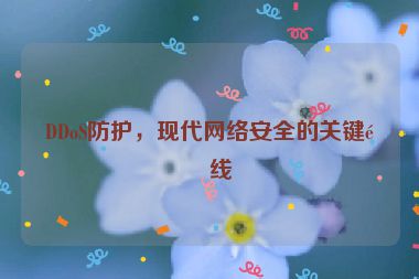 DDoS防護(hù)，現(xiàn)代網(wǎng)絡(luò)安全的關(guān)鍵防線