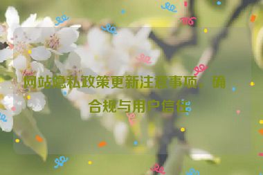 網(wǎng)站隱私政策更新注意事項(xiàng)，確保合規(guī)與用戶信任