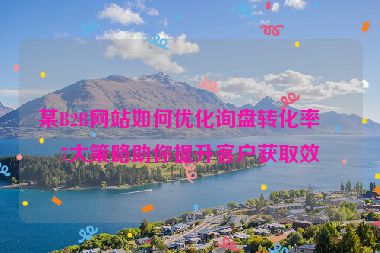 某B2B網(wǎng)站如何優(yōu)化詢盤轉(zhuǎn)化率？7大策略助你提升客戶獲取效率
