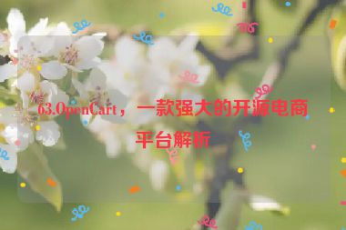 63.OpenCart，一款強(qiáng)大的開源電商平臺(tái)解析
