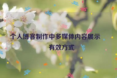 個(gè)人博客制作中多媒體內(nèi)容展示的有效方式