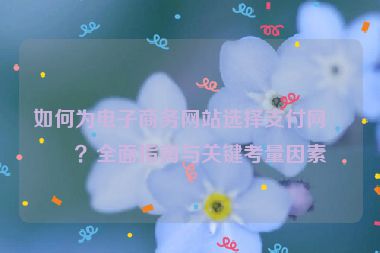 如何為電子商務網(wǎng)站選擇支付網(wǎng)關(guān)？全面指南與關(guān)鍵考量因素