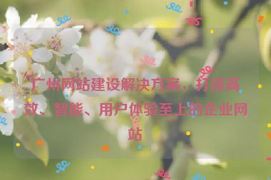 廣州網(wǎng)站建設(shè)解決方案，打造高效、智能、用戶體驗(yàn)至上的企業(yè)網(wǎng)站