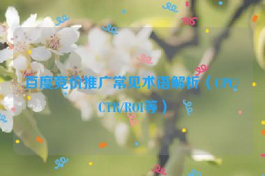 百度競價推廣常見術(shù)語解析（CPC/CTR/ROI等）