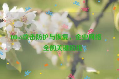 DDoS攻擊防護(hù)與恢復(fù)，企業(yè)網(wǎng)絡(luò)安全的關(guān)鍵防線