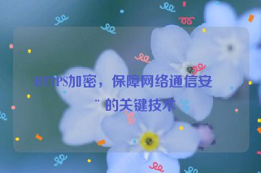 HTTPS加密，保障網(wǎng)絡(luò)通信安全的關(guān)鍵技術(shù)