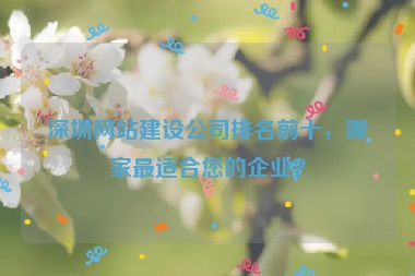深圳網(wǎng)站建設(shè)公司排名前十，哪家最適合您的企業(yè)？