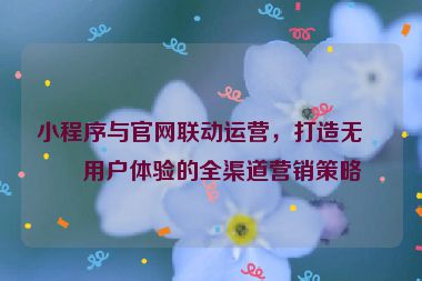 小程序與官網(wǎng)聯(lián)動(dòng)運(yùn)營(yíng)，打造無(wú)縫用戶體驗(yàn)的全渠道營(yíng)銷(xiāo)策略