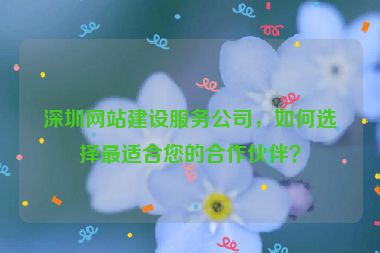 深圳網(wǎng)站建設(shè)服務(wù)公司，如何選擇最適合您的合作伙伴？