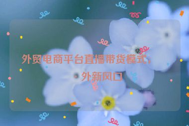 外貿(mào)電商平臺直播帶貨模式，海外新風(fēng)口