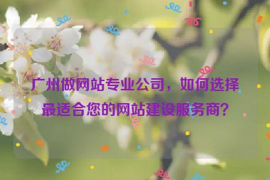 廣州做網(wǎng)站專業(yè)公司，如何選擇最適合您的網(wǎng)站建設服務商？