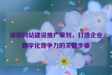 深圳網(wǎng)站建設(shè)推廣策劃，打造企業(yè)數(shù)字化競爭力的關(guān)鍵步驟