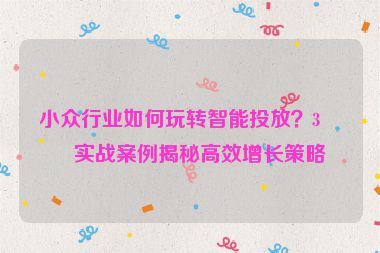 小眾行業(yè)如何玩轉(zhuǎn)智能投放？3個實戰(zhàn)案例揭秘高效增長策略