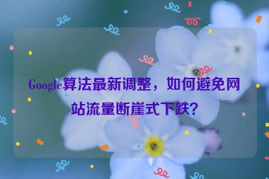 Google算法最新調(diào)整，如何避免網(wǎng)站流量斷崖式下跌？