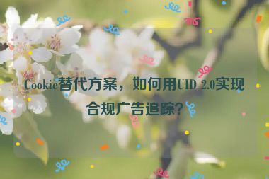 Cookie替代方案，如何用UID 2.0實現(xiàn)合規(guī)廣告追蹤？