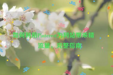如何利用Pinterest為網(wǎng)站帶來精準流量，完整指南