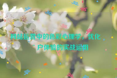 網(wǎng)站運(yùn)營(yíng)中的色彩心理學(xué)，優(yōu)化用戶(hù)體驗(yàn)的實(shí)戰(zhàn)運(yùn)用