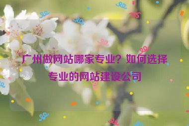 廣州做網(wǎng)站哪家專業(yè)？如何選擇專業(yè)的網(wǎng)站建設公司