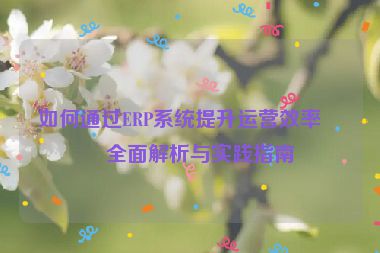 如何通過(guò)ERP系統(tǒng)提升運(yùn)營(yíng)效率，全面解析與實(shí)踐指南